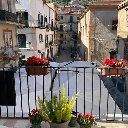 Torre's & Caffe Monreale